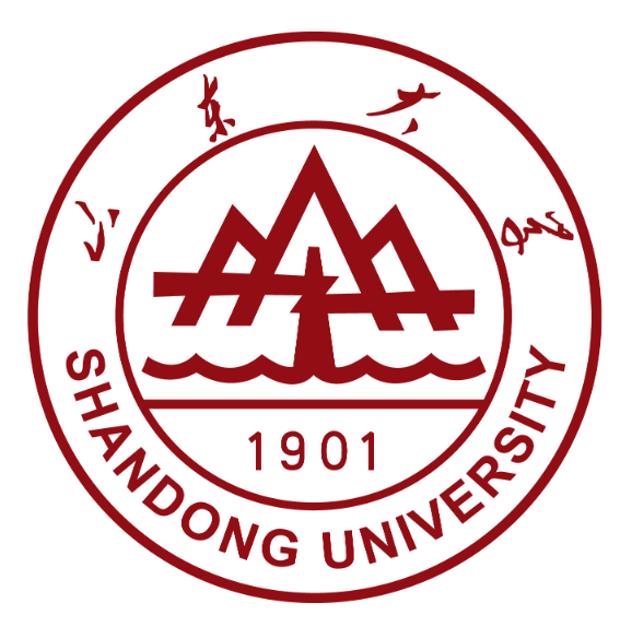 山大团队